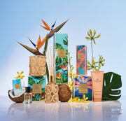 Introducing the Summer 2026 Collection: Paradise Screensaver