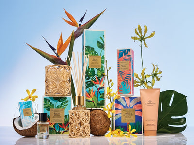 Introducing the Summer 2026 Collection: Paradise Screensaver