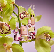 Introducing Radiance in Bloom: A Tribute to Modern Motherhood