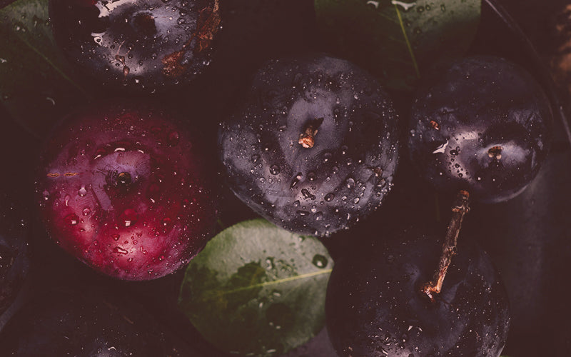 Night Before Christmas