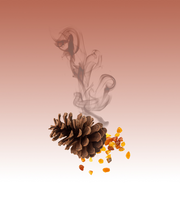 Image product fragrance