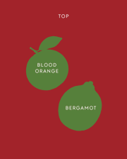 Christmas Morning fragrance notes