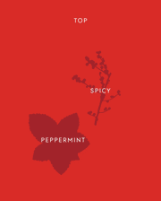 Naughty & Nice fragrance notes