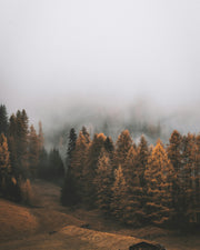Sacred Hollow