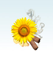Image product fragrance