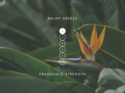 Strength