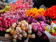 Inspiration