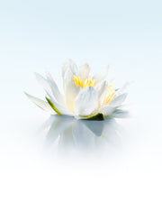 Image product fragrance
