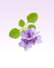 Image product fragrance