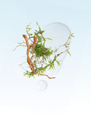 Image product fragrance